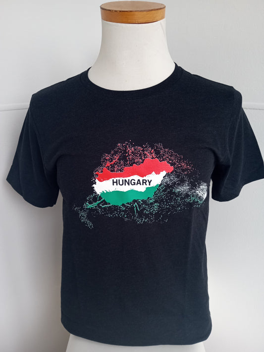 Hungary and Hungarians, Former Hungary teritories